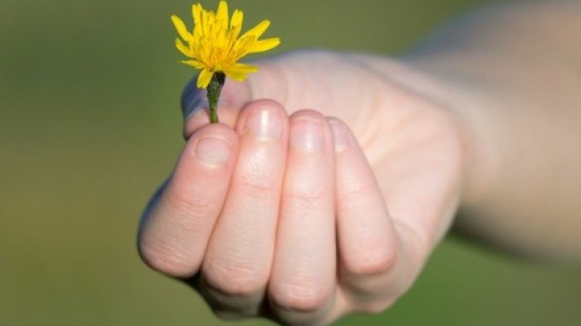 MI GRATITUD